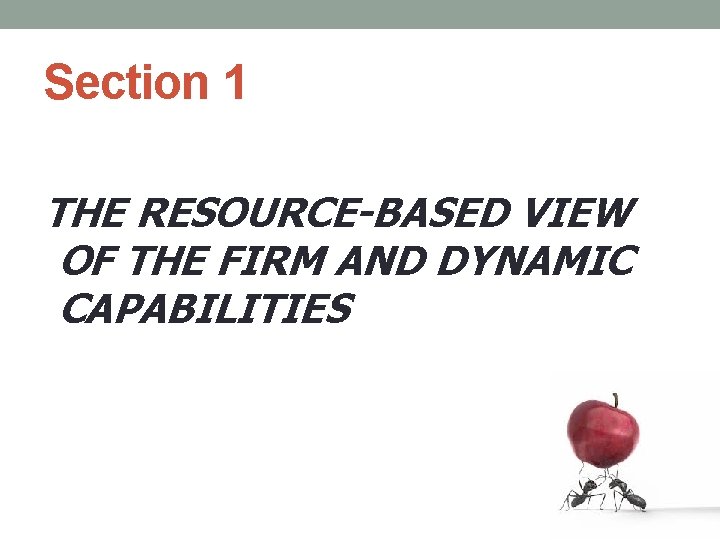 Section 1 THE RESOURCE-BASED VIEW OF THE FIRM AND DYNAMIC CAPABILITIES 
