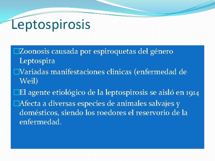 Leptospirosis �Zoonosis causada por espiroquetas del género Leptospira �Variadas manifestaciones clinicas (enfermedad de Weil)
