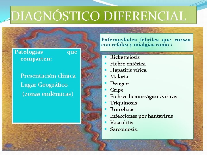 DIAGNÓSTICO DIFERENCIAL Enfermedades febriles que cursan con cefalea y mialgias como : Patologías comparten: