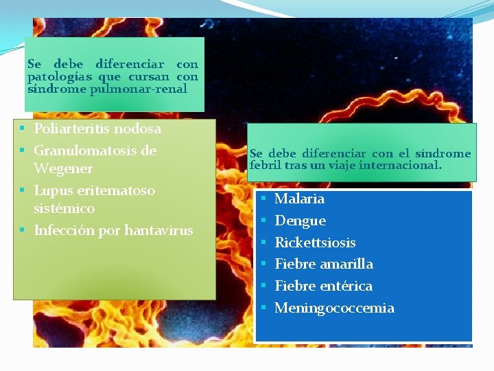 Se debe diferenciar con patologías que cursan con síndrome pulmonar-renal § Poliarteritis nodosa §