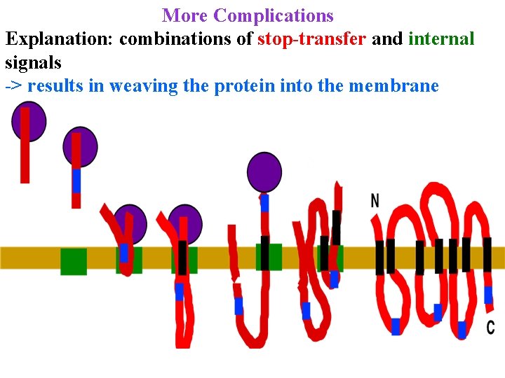 More Complications Explanation: combinations of stop-transfer and internal signals -> results in weaving the