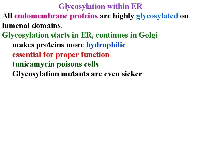 Glycosylation within ER All endomembrane proteins are highly glycosylated on lumenal domains. Glycosylation starts