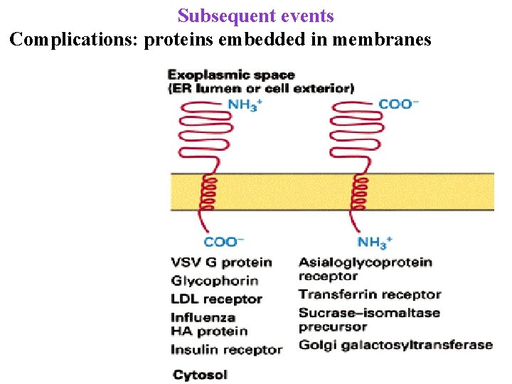 Subsequent events Complications: proteins embedded in membranes 