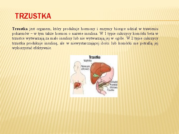 TRZUSTKA Trzustka jest organem, który produkuje hormony i enzymy biorące udział w trawieniu pokarmów