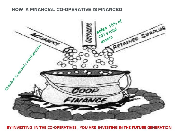 HOW A FINANCIAL CO-OPERATIVE IS FINANCED M em be r. E co no mi