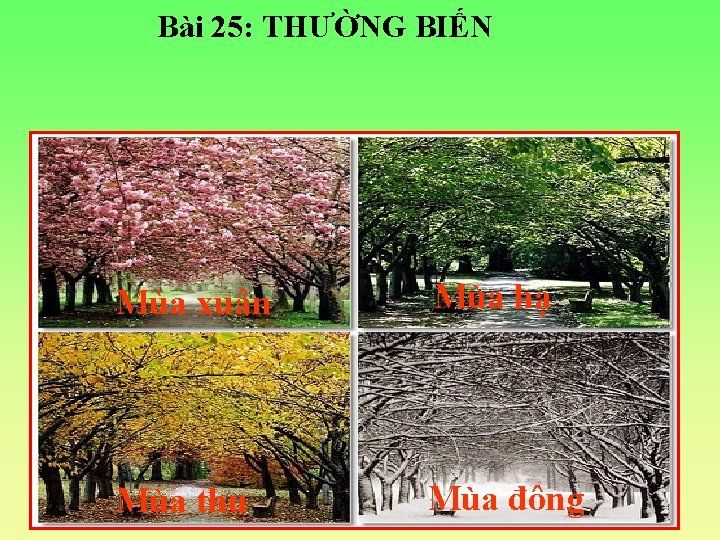 Bài 25: THƯỜNG BIẾN Mùa xuân Mùa hạ Mùa thu Mùa đông 