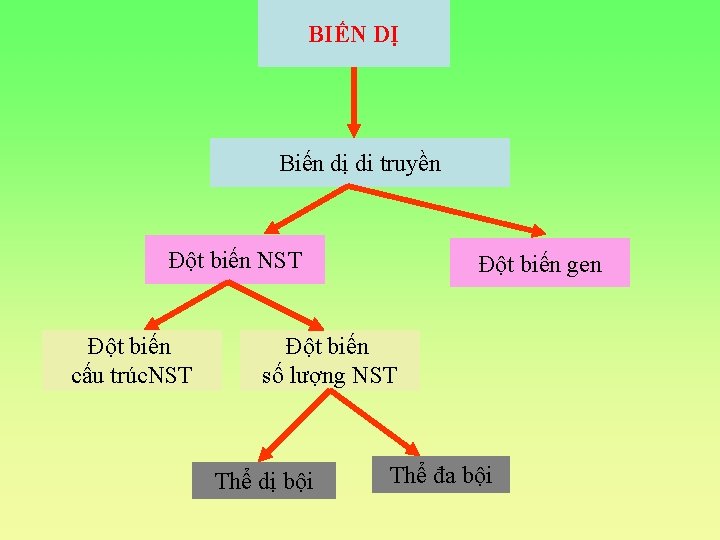 BIẾN DỊ Biến dị di truyền Đột biến NST Đột biến cấu trúc. NST