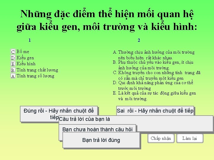 Những đặc điểm thể hiện mối quan hệ giữa kiểu gen, môi trường và