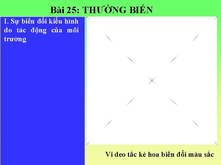 Bài 25: THƯỜNG BIẾN I. Sự biến đổi kiểu hình do tác động của