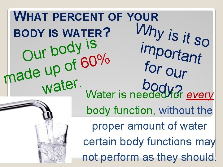 WHAT PERCENT OF YOUR Why is BODY IS WATER? it so import ant for