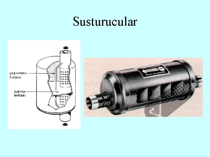 Susturucular 
