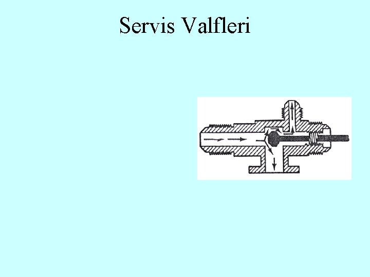 Servis Valfleri 
