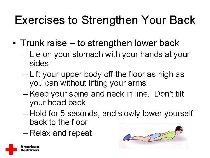 Exercises to Strengthen Your Back • Trunk raise – to strengthen lower back –