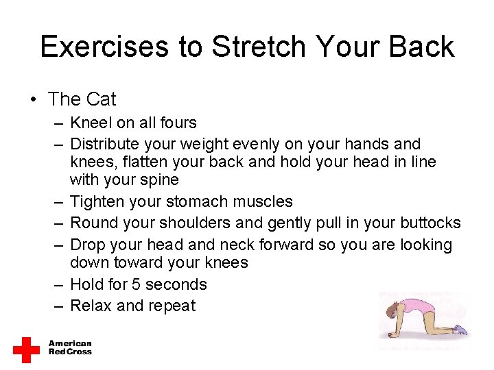 Exercises to Stretch Your Back • The Cat – Kneel on all fours –