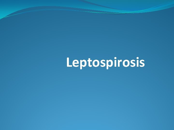 Leptospirosis 