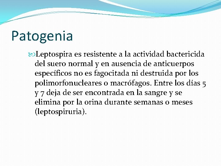 Patogenia Leptospira es resistente a la actividad bactericida del suero normal y en ausencia