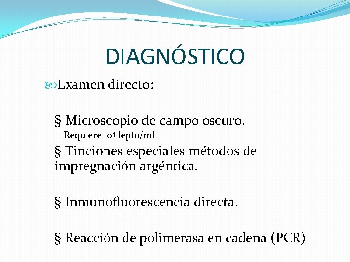 DIAGNÓSTICO Examen directo: § Microscopio de campo oscuro. Requiere 104 lepto/ml § Tinciones especiales