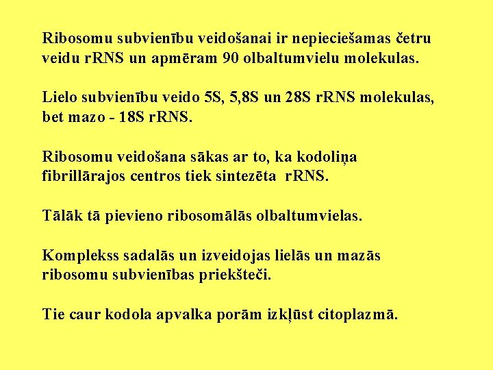 Ribosomu subvienību veidošanai ir nepieciešamas četru veidu r. RNS un apmēram 90 olbaltumvielu molekulas.