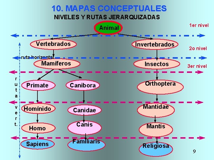 10. MAPAS CONCEPTUALES NIVELES Y RUTAS JERARQUIZADAS 1 er nivel Animal Vertebrados Invertebrados 2