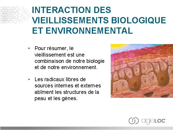 INTERACTION DES VIEILLISSEMENTS BIOLOGIQUE ET ENVIRONNEMENTAL • Pour résumer, le vieillissement est une combinaison