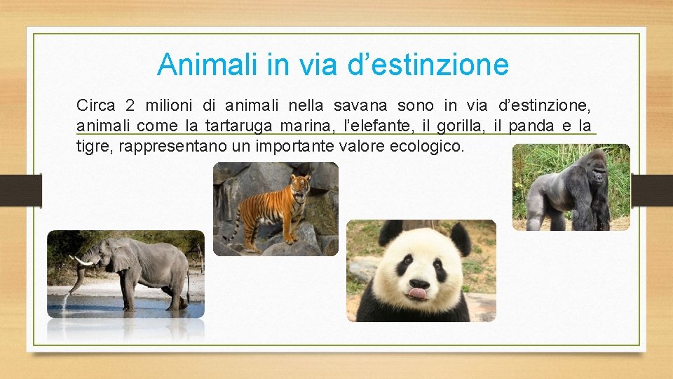 Animali in via d’estinzione Circa 2 milioni di animali nella savana sono in via