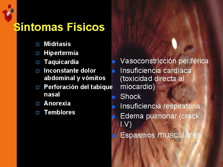 Síntomas Físicos p p p p Midriasis Hipertermia n Taquicardia Inconstante dolor n abdominal