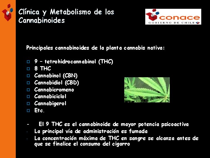 Clínica y Metabolismo de los Cannabinoides Principales cannabinoides de la planta cannabis nativa: p