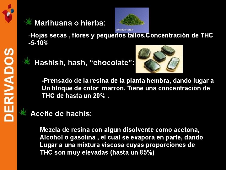 Marihuana o hierba: DERIVADOS -Hojas secas , flores y pequeños tallos. Concentración de THC