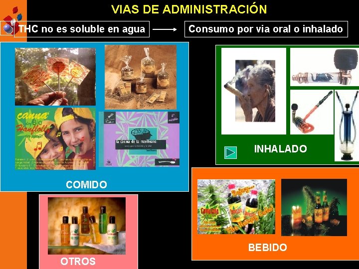 VIAS DE ADMINISTRACIÓN THC no es soluble en agua Consumo por via oral o