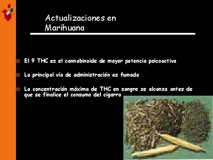 Actualizaciones en Marihuana p El 9 THC es el cannabinoide de mayor potencia psicoactiva