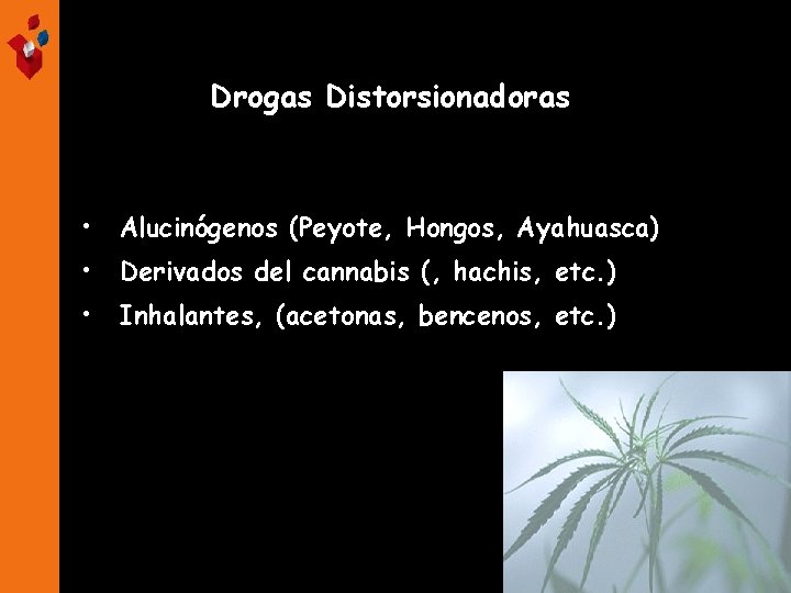 Drogas Distorsionadoras • Alucinógenos (Peyote, Hongos, Ayahuasca) • Derivados del cannabis (, hachis, etc.