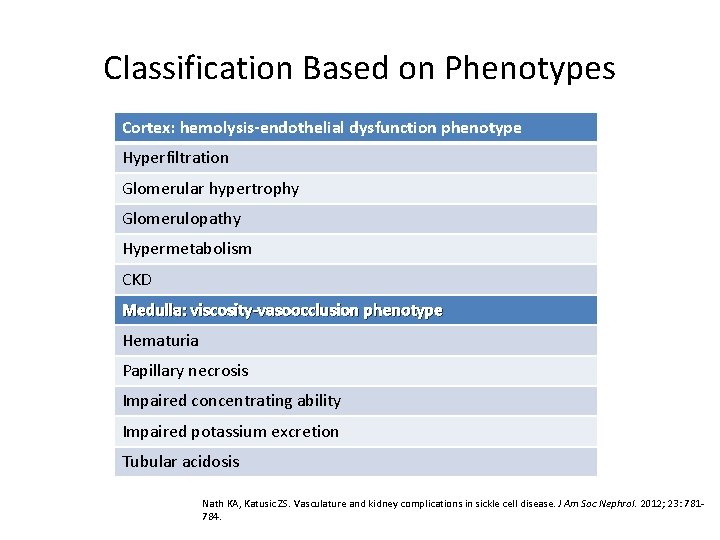 Classification Based on Phenotypes Cortex: hemolysis-endothelial dysfunction phenotype Hyperfiltration Glomerular hypertrophy Glomerulopathy Hypermetabolism CKD