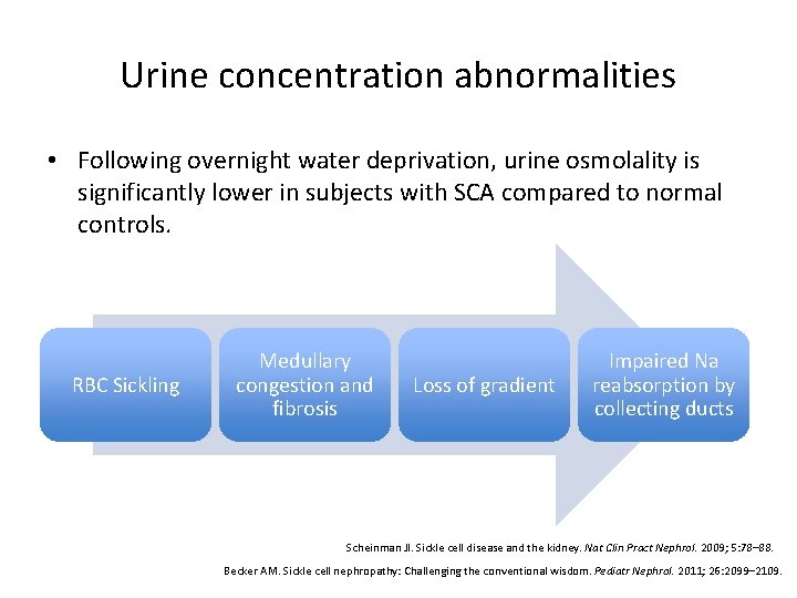 Urine concentration abnormalities • Following overnight water deprivation, urine osmolality is significantly lower in