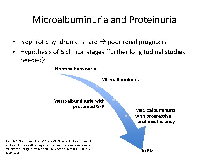 Microalbuminuria and Proteinuria • Nephrotic syndrome is rare poor renal prognosis • Hypothesis of