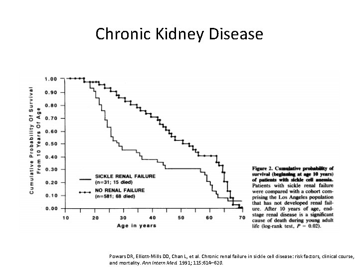 Chronic Kidney Disease Powars DR, Elliott-Mills DD, Chan L, et al. Chronic renal failure