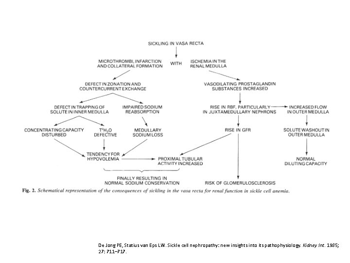 De Jong PE, Statius van Eps LW. Sickle cell nephropathy: new insights into its