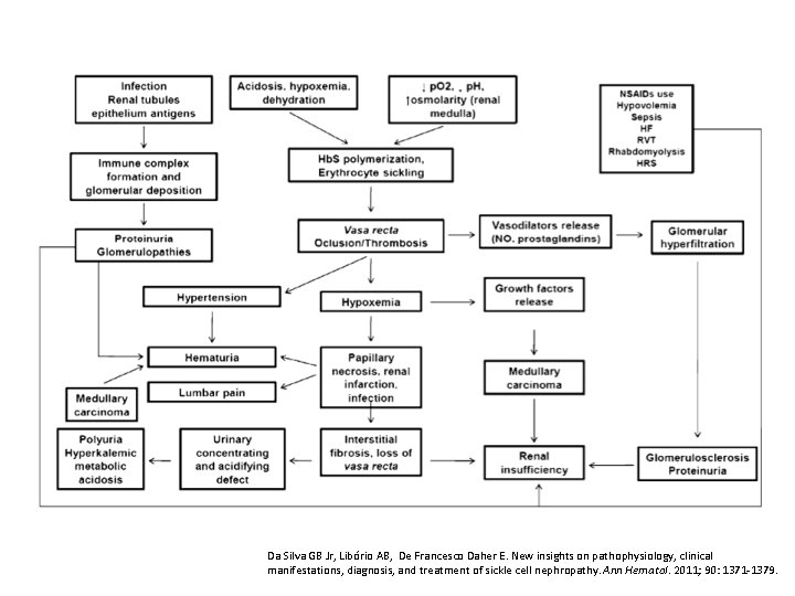 Da Silva GB Jr, Libório AB, De Francesco Daher E. New insights on pathophysiology,