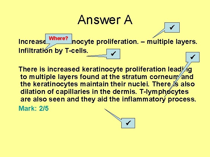 Answer A Where? Increased keratinocyte proliferation. – multiple layers. Infiltration by T-cells. There is