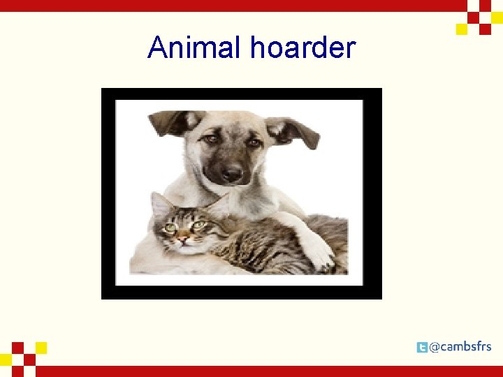 Animal hoarder 
