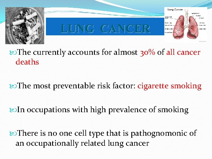 LUNG CANCER The currently accounts for almost 30% of all cancer deaths The most
