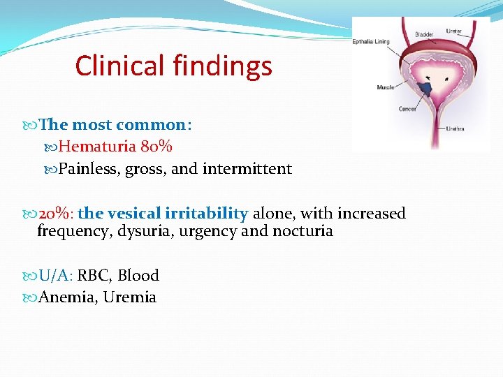 Clinical findings The most common: Hematuria 80% Painless, gross, and intermittent 20%: the vesical