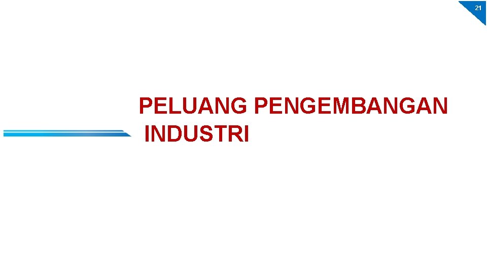 21 PELUANG PENGEMBANGAN INDUSTRI 