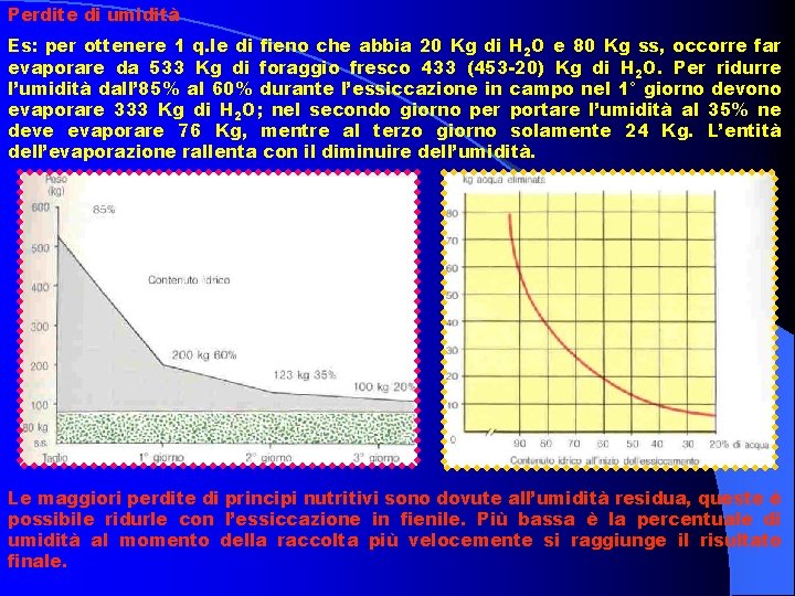 Perdite di umidità Es: per ottenere 1 q. le di fieno che abbia 20