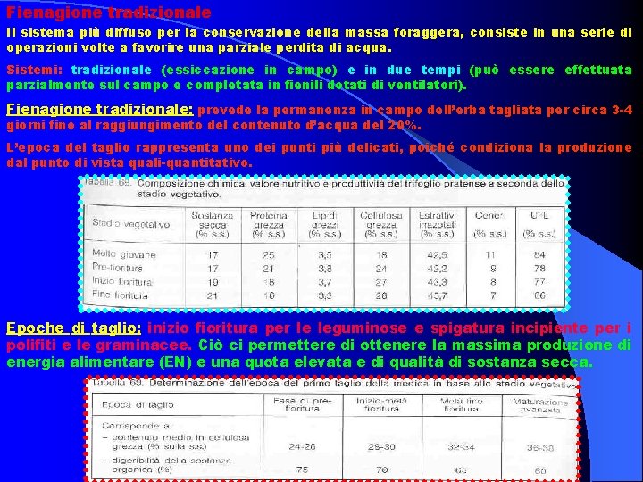 Fienagione tradizionale Il sistema più diffuso per la conservazione della massa foraggera, consiste in