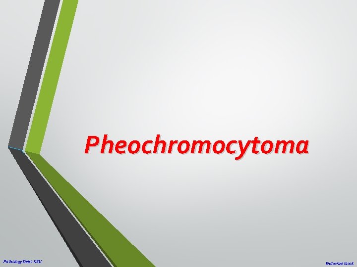 Pheochromocytoma Pathology Dept. KSU Endocrine block 