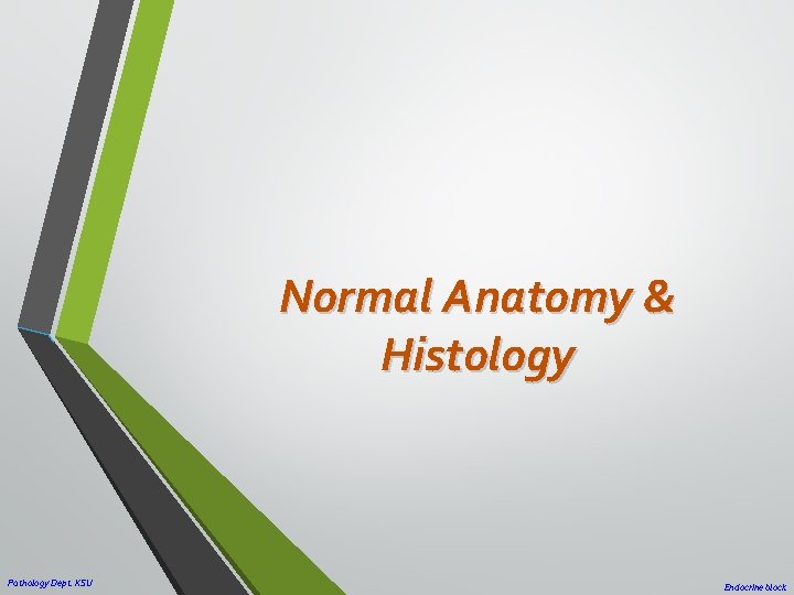 Normal Anatomy & Histology Pathology Dept. KSU Endocrine block 