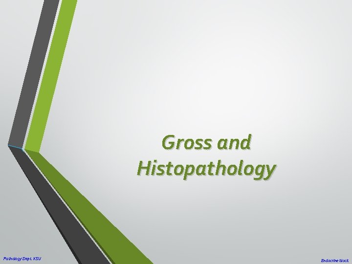 Gross and Histopathology Pathology Dept. KSU Endocrine block 