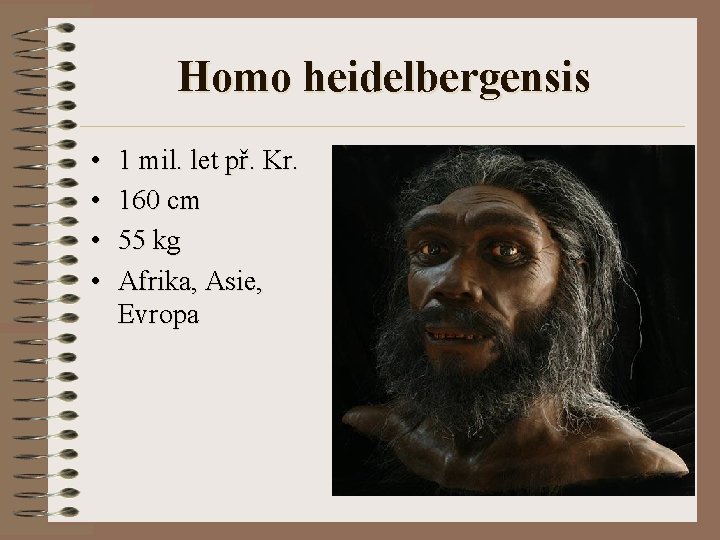 Homo heidelbergensis • • 1 mil. let př. Kr. 160 cm 55 kg Afrika,