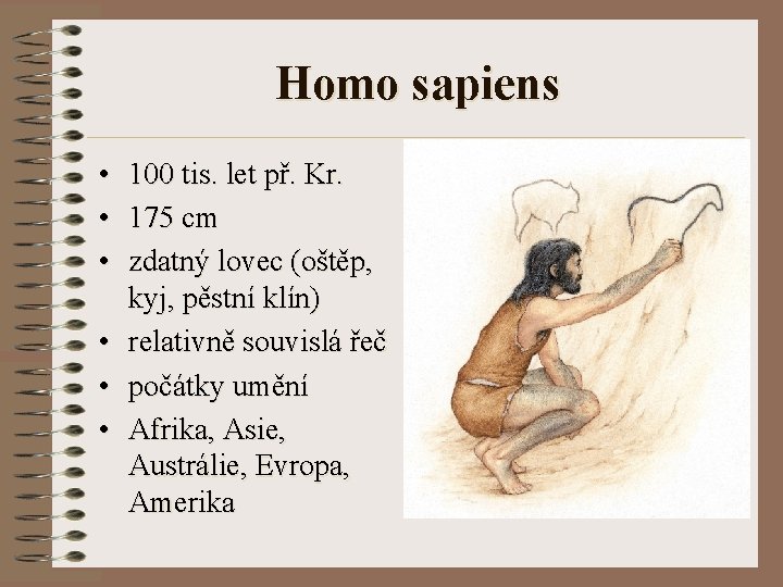 Homo sapiens • 100 tis. let př. Kr. • 175 cm • zdatný lovec