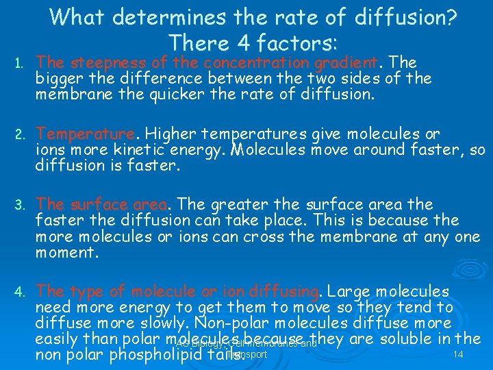 What determines the rate of diffusion? There 4 factors: 1. The steepness of the